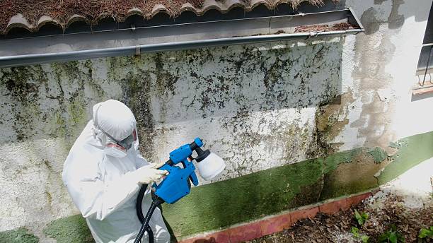 Top rated local Mold Inspection And Testing specialists in Leesburg, GA